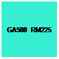 Text Box: GA508  RM225

