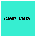 Text Box: GA503  RM120
